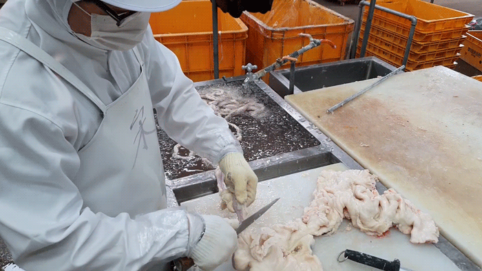 85a2d66221b4ad601fe1131c30d45b77_1619162220_9443.gif